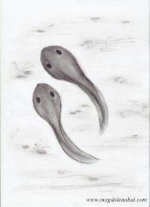nuijapäät